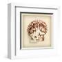 Radial Seashell-null-Framed Art Print