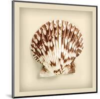 Radial Seashell-null-Mounted Art Print