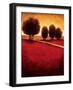 Radiance I-Gregory Williams-Framed Art Print