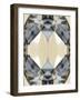 Radiance Jewel - Gleam-Michael Banks-Framed Giclee Print