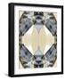 Radiance Jewel - Gleam-Michael Banks-Framed Giclee Print