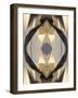 Radiance Jewel - Glisten-Michael Banks-Framed Giclee Print