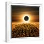 Radiance-Luis Beltran-Framed Premium Photographic Print