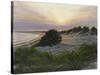 Radiance-Bruce Dumas-Stretched Canvas