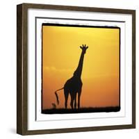 Radiant Africa 1-Susann Parker-Framed Photographic Print