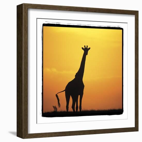 Radiant Africa 1-Susann Parker-Framed Photographic Print