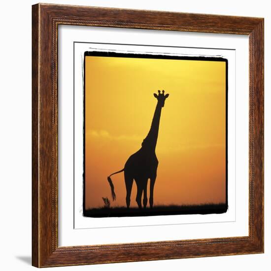 Radiant Africa 1-Susann Parker-Framed Photographic Print