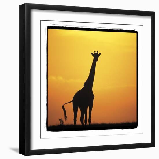 Radiant Africa 1-Susann Parker-Framed Photographic Print