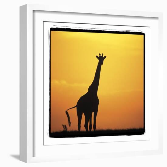 Radiant Africa 1-Susann Parker-Framed Photographic Print