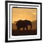 Radiant Africa 2-Susann Parker-Framed Photographic Print