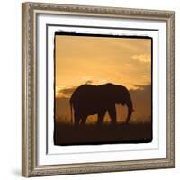 Radiant Africa 2-Susann Parker-Framed Photographic Print