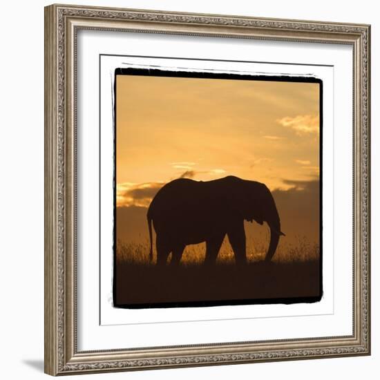 Radiant Africa 2-Susann Parker-Framed Photographic Print
