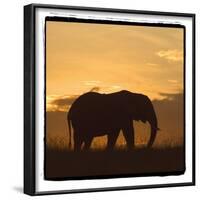 Radiant Africa 2-Susann Parker-Framed Photographic Print