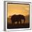 Radiant Africa 2-Susann Parker-Framed Photographic Print