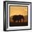 Radiant Africa 2-Susann Parker-Framed Photographic Print