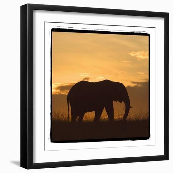 Radiant Africa 2-Susann Parker-Framed Photographic Print