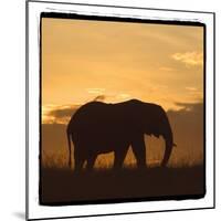 Radiant Africa 2-Susann Parker-Mounted Photographic Print