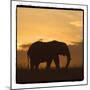 Radiant Africa 2-Susann Parker-Mounted Photographic Print