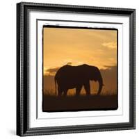 Radiant Africa 2-Susann Parker-Framed Photographic Print