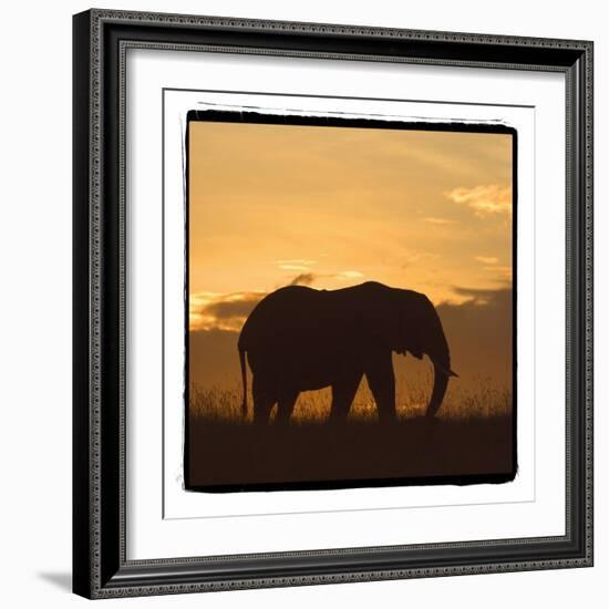 Radiant Africa 2-Susann Parker-Framed Photographic Print