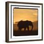 Radiant Africa 2-Susann Parker-Framed Premium Photographic Print