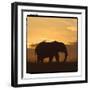 Radiant Africa 2-Susann Parker-Framed Premium Photographic Print