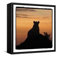 Radiant Africa 3-Susann Parker-Framed Stretched Canvas