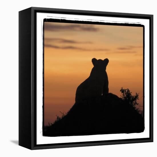 Radiant Africa 3-Susann Parker-Framed Stretched Canvas