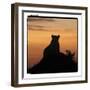 Radiant Africa 3-Susann Parker-Framed Photographic Print