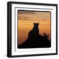 Radiant Africa 3-Susann Parker-Framed Photographic Print