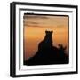Radiant Africa 3-Susann Parker-Framed Photographic Print