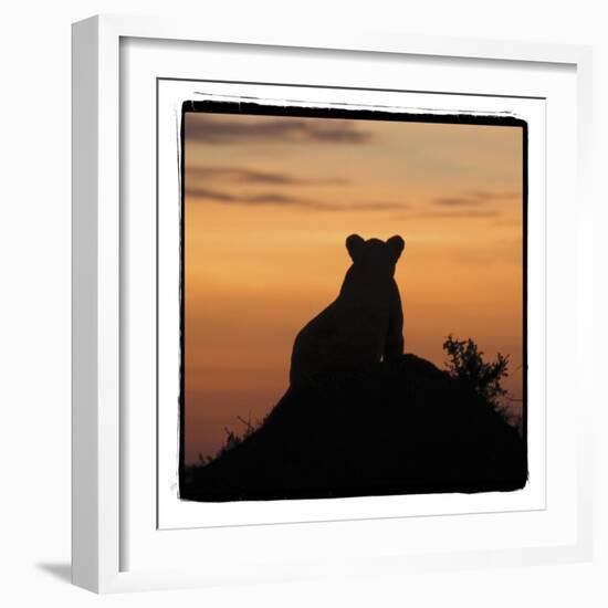 Radiant Africa 3-Susann Parker-Framed Photographic Print