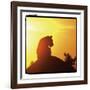 Radiant Africa 4-Susann Parker-Framed Photographic Print