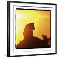 Radiant Africa 4-Susann Parker-Framed Photographic Print