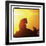 Radiant Africa 4-Susann Parker-Framed Photographic Print