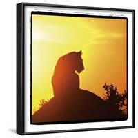 Radiant Africa 4-Susann Parker-Framed Photographic Print