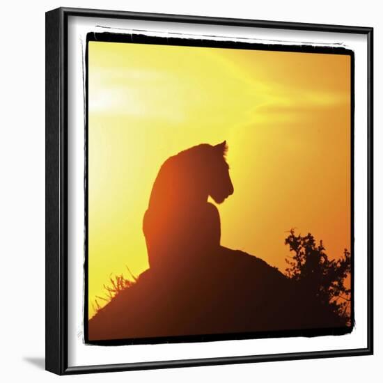 Radiant Africa 4-Susann Parker-Framed Photographic Print