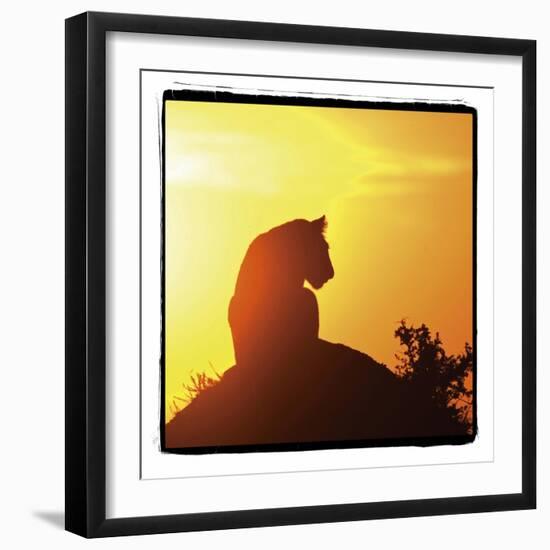 Radiant Africa 4-Susann Parker-Framed Photographic Print