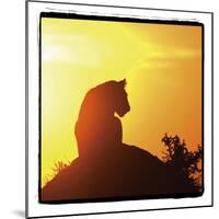 Radiant Africa 4-Susann Parker-Mounted Photographic Print