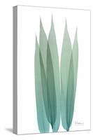 Radiant Bamboo Leaf 1-Albert Koetsier-Stretched Canvas