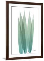 Radiant Bamboo Leaf 1-Albert Koetsier-Framed Art Print