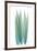 Radiant Bamboo Leaf 1-Albert Koetsier-Framed Art Print