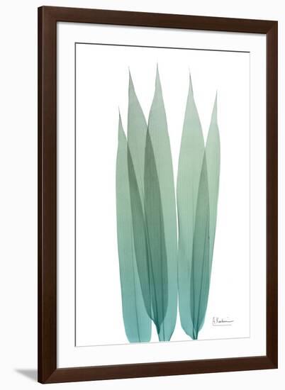 Radiant Bamboo Leaf 1-Albert Koetsier-Framed Art Print