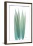 Radiant Bamboo Leaf 1-Albert Koetsier-Framed Art Print