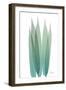 Radiant Bamboo Leaf 1-Albert Koetsier-Framed Art Print