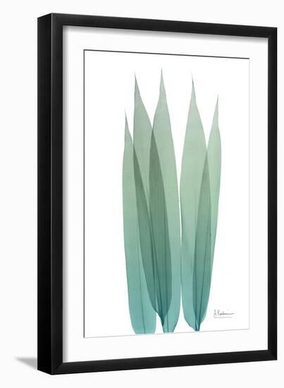 Radiant Bamboo Leaf 1-Albert Koetsier-Framed Art Print