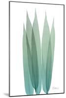 Radiant Bamboo Leaf 1-Albert Koetsier-Mounted Art Print