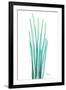 Radiant Bamboo Leaf-Albert Koetsier-Framed Art Print