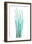 Radiant Bamboo Leaf-Albert Koetsier-Framed Art Print