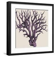 Radiant Coral III-Maria Mendez-Framed Art Print